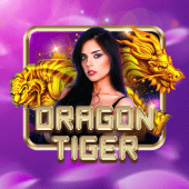 Dragon Tiger on PhDrem